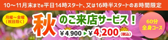 H̃^CT[rX60SgR[X14܂16X^[ĝ\Őō4,200~